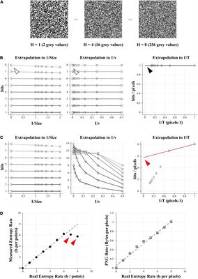 Frontiers | A Quick And Easy Way To Estimate Entropy And Mutual ...